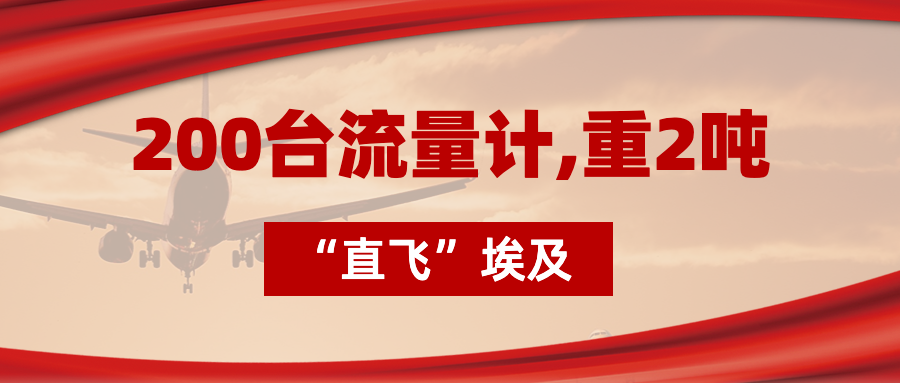 200臺(tái)流量計(jì)“直飛”埃及，重2噸，運(yùn)費(fèi)10萬(wàn)